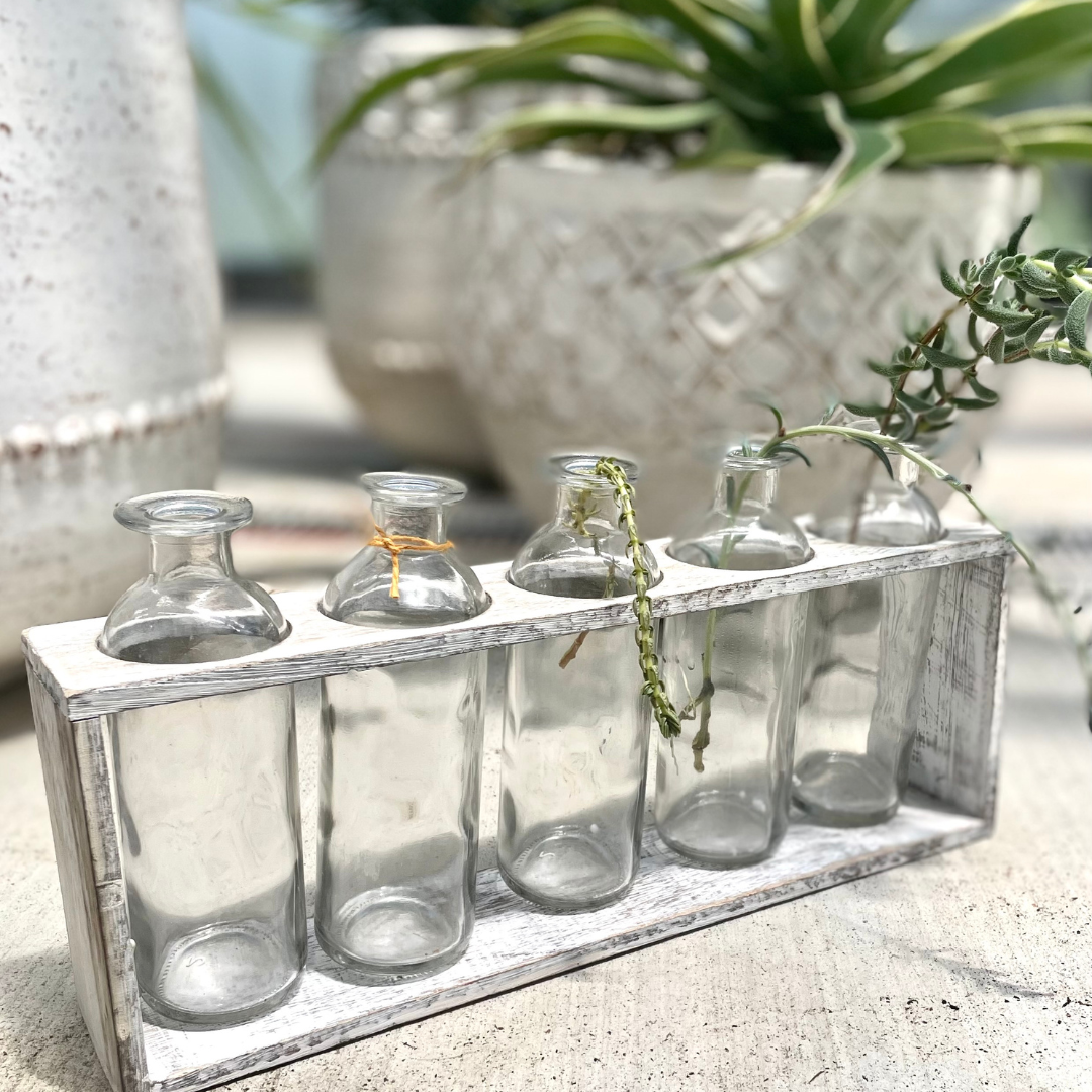 5-Bottle Glass Propagation Kit in Paulownia Wooden Display