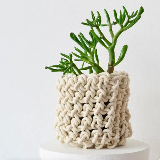 Ivory Braided Planter Cover/Storage Basket