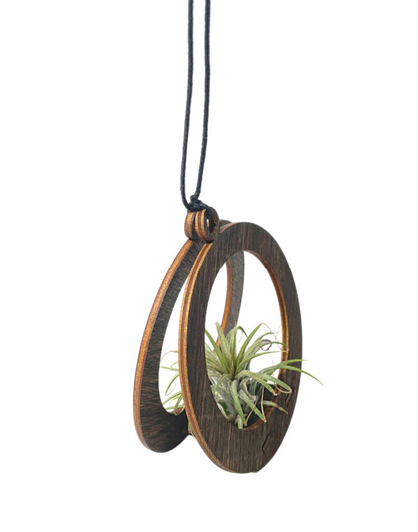 Mini Wooden Air Plant Hanger & Air Plant